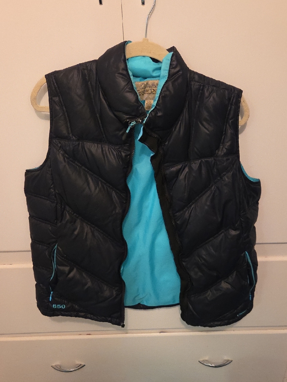 Black Puffer Vest with Aqua Lining